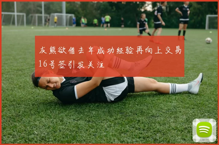 灰熊欲借去年成功经验再向上交易16号签引发关注