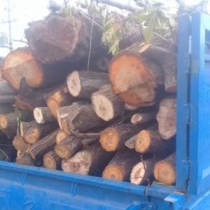 فروش وخرید انواع چوب