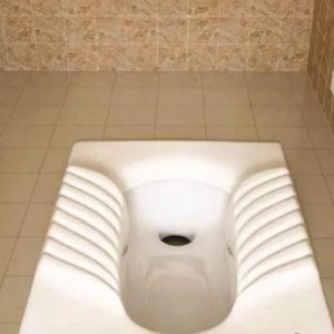توالت ایرانی گاتریا مدل گاتریا ابرویی کوچک