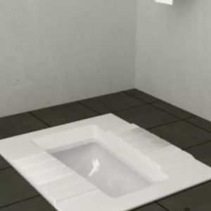 «توالت ایرانی گلسار» مدل D3